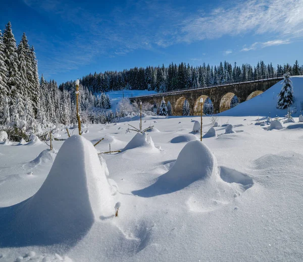 Viadotto Pietra Ponte Arco Sulla Ferrovia Attraverso Foresta Abeti Innevati — Foto Stock