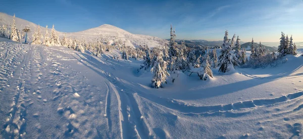 Alpine Resortr Skilift Met Zitplaatsen Zonsopgang Berghellingen Freeride Pistes Sparren — Stockfoto