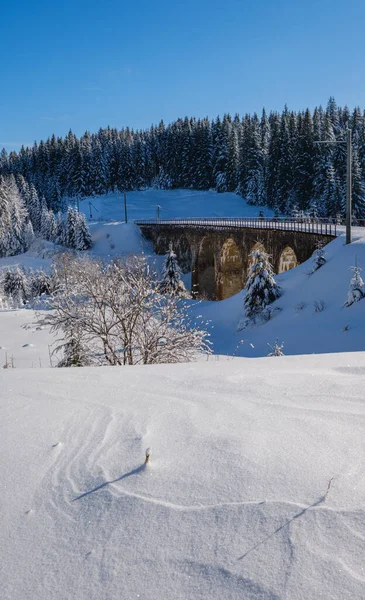 铁路上穿越雪山冷杉林的石塔 路边飘雪 树上和电线上结霜 — 图库照片