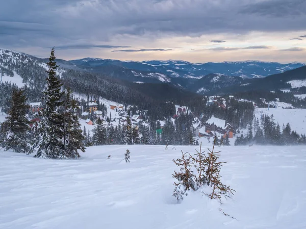 Picturesque Winter Windy Cloudy Morning Alps View Famous Ukrainian Dragobrat — Stock Photo, Image