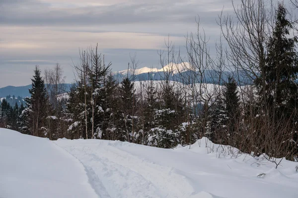 Piccolo Villaggio Alpino Montagne Innevate Invernali Alla Luce Del Sole — Foto Stock