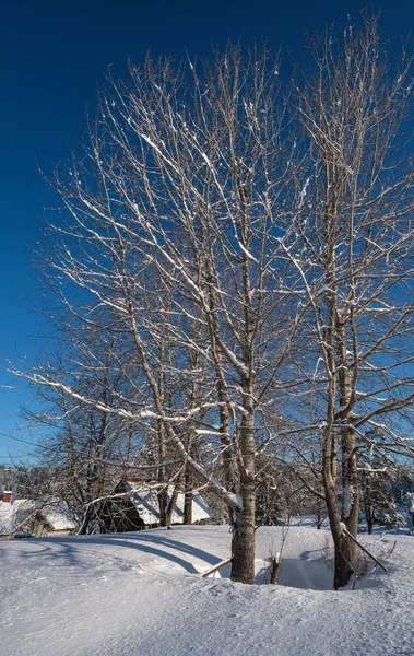 Campo Colinas Arboledas Tierras Cultivo Invierno Remoto Pueblo Montaña Alpina —  Fotos de Stock