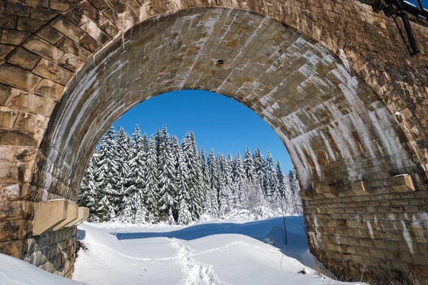 Viaducto Piedra Puente Arco Ferrocarril Través Del Bosque Abeto Nevado —  Fotos de Stock