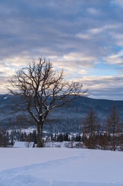 Voronenko, Carpathian, Ukrayna çevresindeki ilk gün doğumunda, küçük dağlarda ve karlı dağlarda. Karların arasından yeni ayak basılmış patikada iz sürmek.