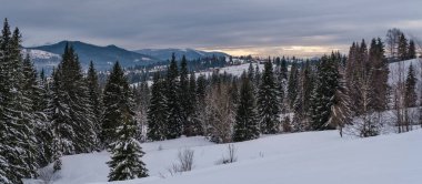 Voronenko, Karpatya, Ukrayna 'nın son gün batımında, küçük dağlık bir dağ ve karlı dağlar..