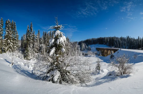 Viadotto Pietra Ponte Arco Sulla Ferrovia Attraverso Foresta Abeti Innevati — Foto Stock