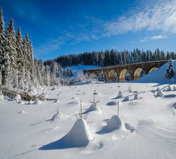 Steinviadukt Bogenbrücke Auf Der Eisenbahn Durch Schneebedeckten Tannenwald Schneeverwehungen Wegesrand — Stockfoto