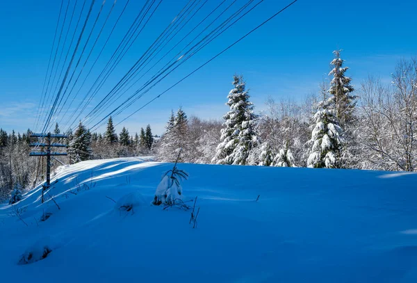 Järnväg Genom Snöig Gran Skog Och Avlägsen Alpin Hjälm Karpaterna — Stockfoto