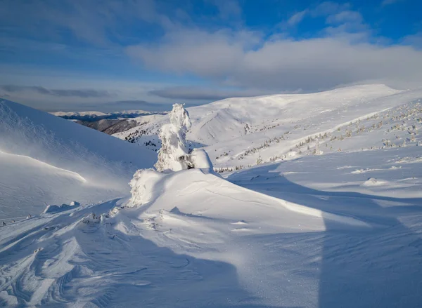 Los Abetos Cubiertos Nieve Meseta Montañosa Nevada Las Cimas Con —  Fotos de Stock