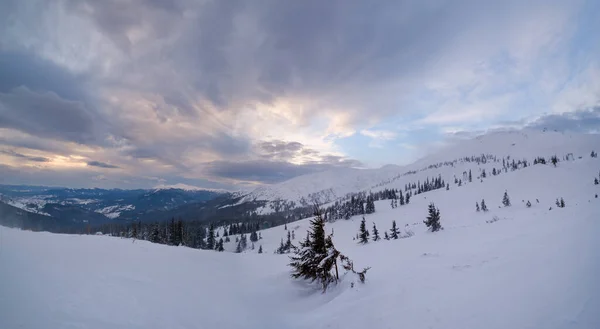 Pintorescos Alpes Invernales Ventosos Nublados Los Cárpatos Ucranianos Cresta Más — Foto de Stock