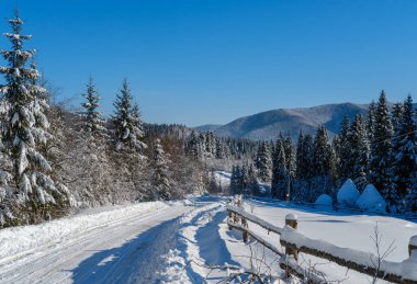 Uzak dağ köyüne giden ikincil dağlık dağ yolu. Karlı köknar ormanı, kar yağışı ve yol kenarındaki ahşap çit boyunca.