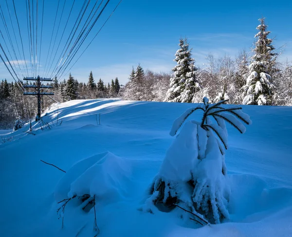 在喀尔巴阡山脉 铁路穿过白雪覆盖的冷杉林和遥远的高山头盔 雪堆在路边 — 图库照片