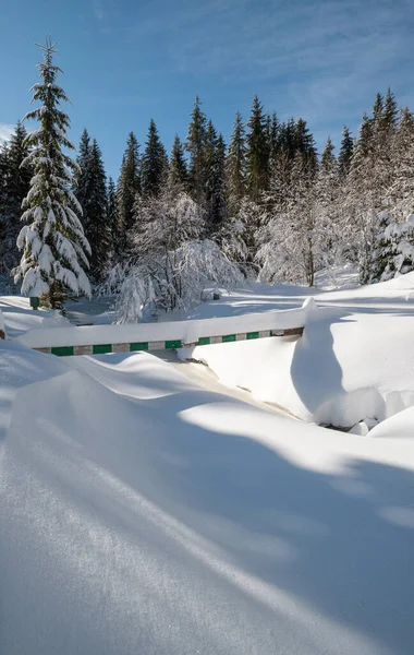 アルパイン山の雪の冬のモミの森雪のドリフトと凍結小さなストリーム — ストック写真