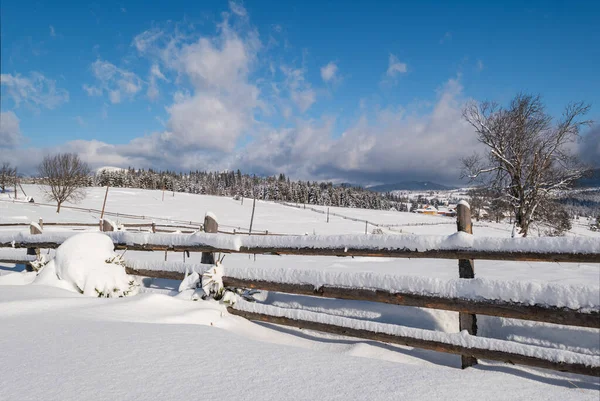 高山雪地冬季冷杉林和雪地漂移在乡村小道路旁的木栅栏附近 — 图库照片