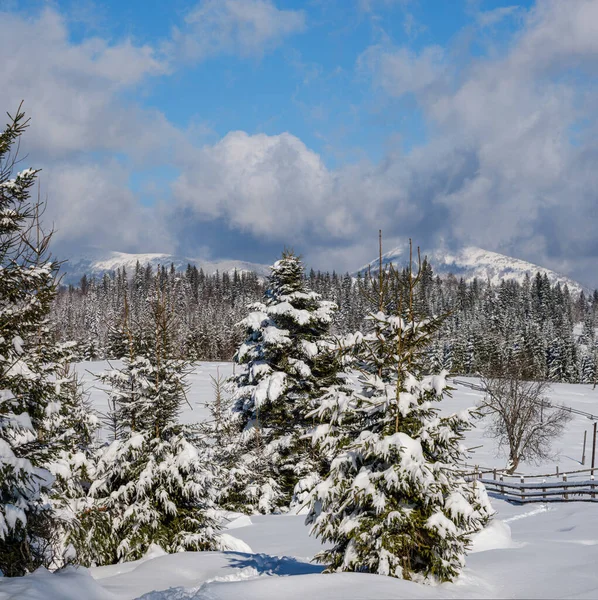 Inverno Remota Aldeia Montanhosa Alpina Periferia Colinas Rurais Bosques Terras — Fotografia de Stock
