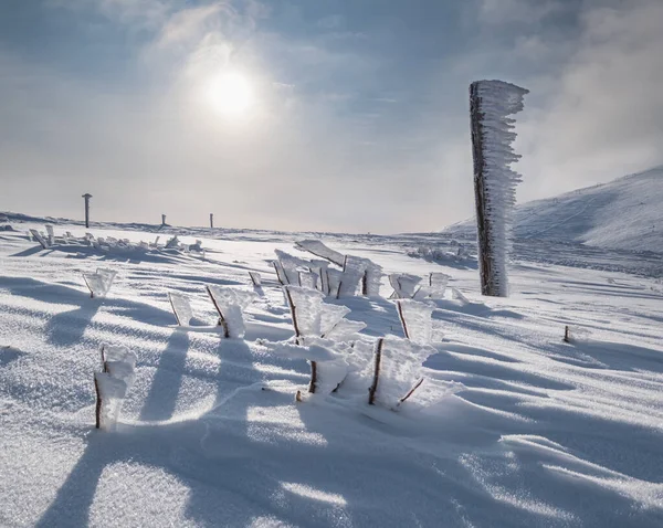 Puntero Cubierto Nieve Arbustos Cerca Del Camino Meseta Montaña Nevada —  Fotos de Stock