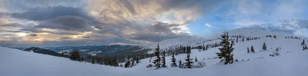 Pittoresco Inverno Ventoso Nuvoloso Mattina Alpi Carpazi Ucraini Cresta Più — Foto Stock