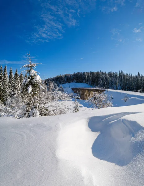 Stenen Viaduct Boogbrug Spoorweg Door Bergachtig Dennenbos Sneeuw Drijft Langs — Stockfoto