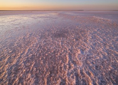 Genichesk Pembesi üzerinde gün batımı son derece tuzlu göl (kristal tuz kalıntılarıyla mikro algler tarafından renklendirilmiş), Ukrayna.