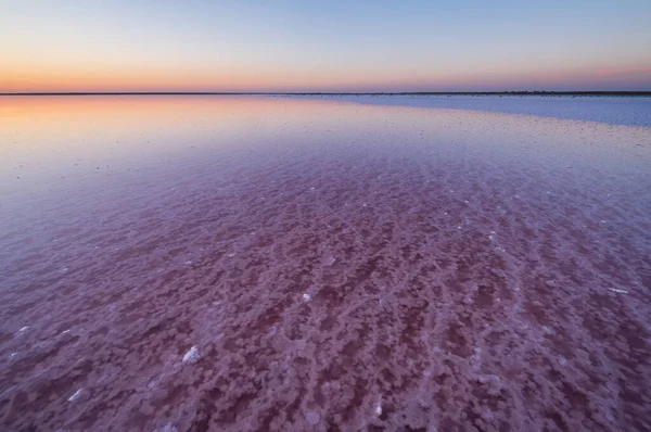 Apus Soare Lacul Roz Genichesk Extrem Sărat Colorat Microalge Depuneri — Fotografie, imagine de stoc