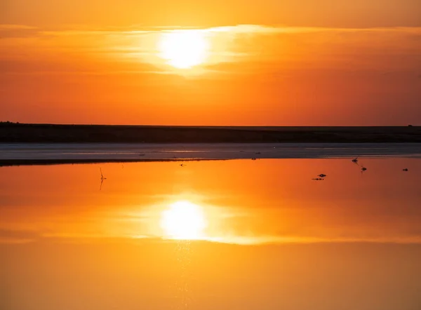 Puesta Sol Lago Extremadamente Salado Rosado Genichesk Coloreado Por Microalgas —  Fotos de Stock