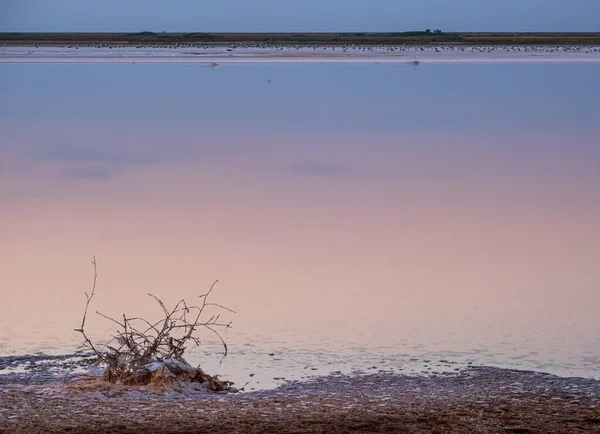 Puesta Sol Lago Extremadamente Salado Rosado Genichesk Coloreado Por Microalgas —  Fotos de Stock