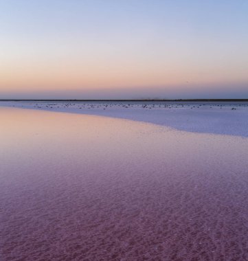 Genichesk Pembesi üzerinde gün batımı son derece tuzlu göl (kristal tuz kalıntılarıyla mikro algler tarafından renklendirilmiş), Ukrayna.