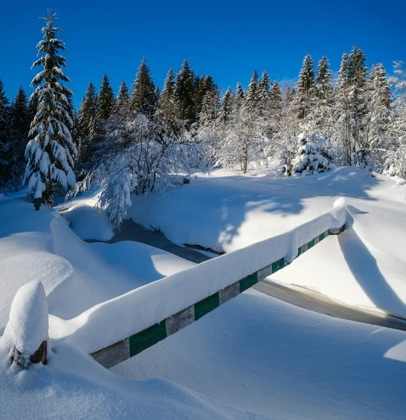 アルパイン山の雪の冬のモミの森雪のドリフトと凍結小さなストリーム — ストック写真