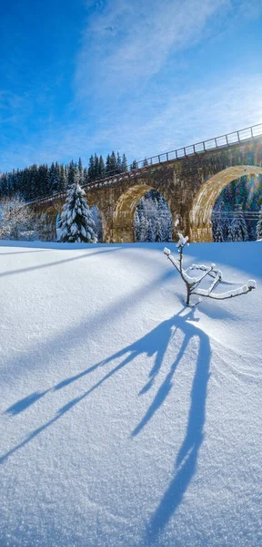Кам Яний Віадук Архівний Міст Залізниці Через Гірський Сніговий Ялиновий — стокове фото