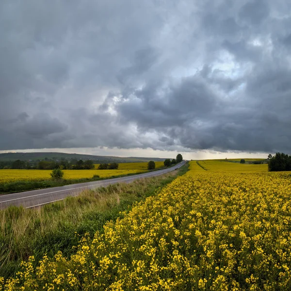 春黄花开油菜地 区域公路 多云的雷雨前天空和青山 自然季节 农村美的概念 — 图库照片
