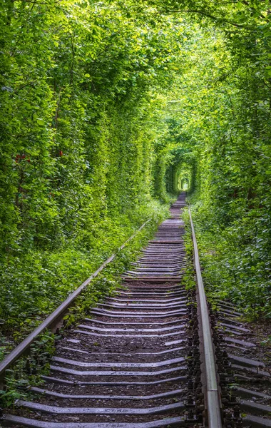 Love Tunnel Railway Section Located Forest Klevan Ukraine Named Because — Stock Photo, Image