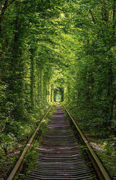 Love Tunnel Seção Ferroviária Localizada Floresta Perto Klevan Ucrânia Assim — Fotografia de Stock
