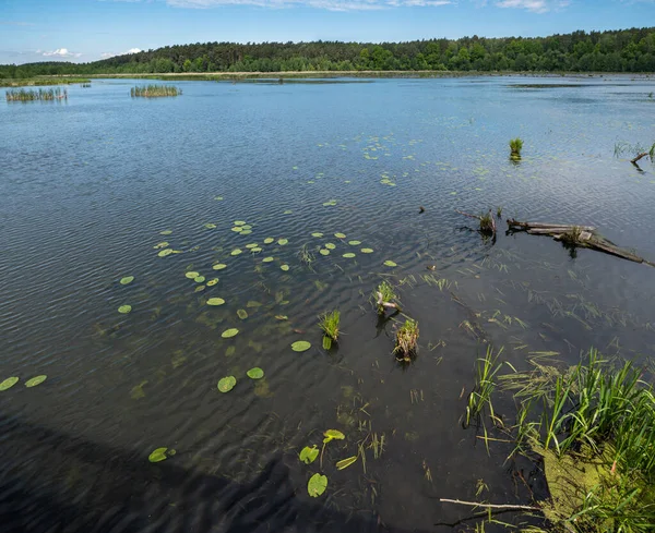 Summer Countryside Valley Rushy Lake Landscape — Stock Photo, Image