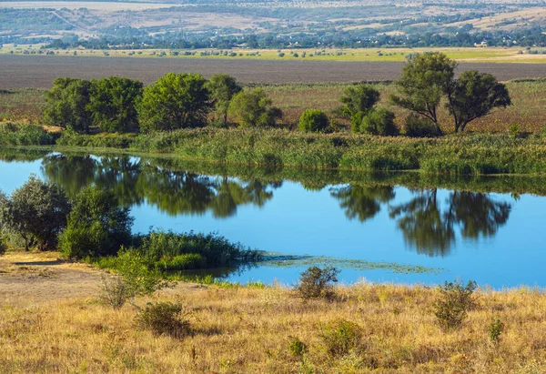 夏の田園風景とともにPivdennyi Buh川 Mykolaiv地域 ウクライナ — ストック写真
