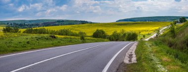 Bahar aylarında kolza tohumu açan sarı tarlalar panoramik manzara, güneş ışığında bulutlu mavi gökyüzü. Doğal mevsim, iyi hava, iklim, eko, tarım, kırsal güzellik kavramı.