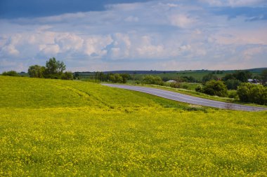 Bahar kolza tohumlarının arasından geçen yol sarı çiçek açan tarlalar, bulutlu gökyüzü. Doğal mevsim, iyi hava, iklim, eko, tarım, kırsal güzellik kavramı.