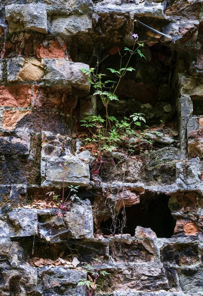 Forte Militar Abandonado Tarakaniv Outros Nomes Forte Dubno Nova Fortaleza — Fotografia de Stock