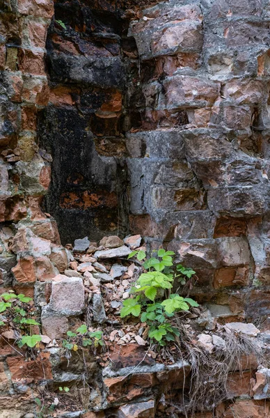 Opuszczony Fort Wojskowy Tarakaniw Inne Nazwy Fort Dubno Nowa Twierdza — Zdjęcie stockowe