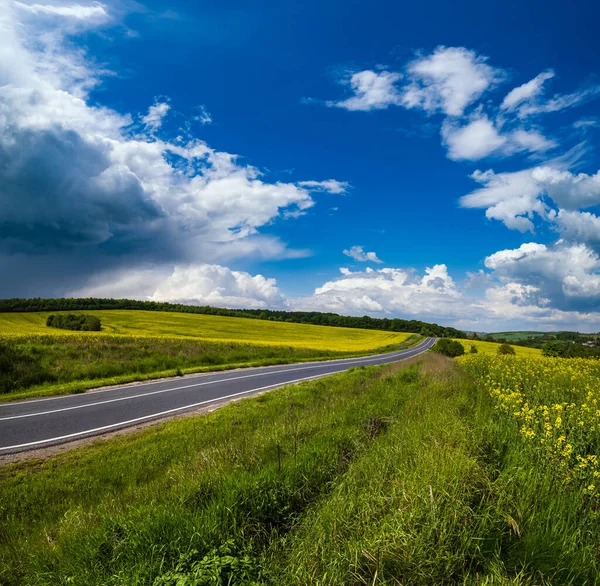 Cesta Přes Jarní Řepku Žluté Kvetoucí Pole Pohled Modré Nebe — Stock fotografie