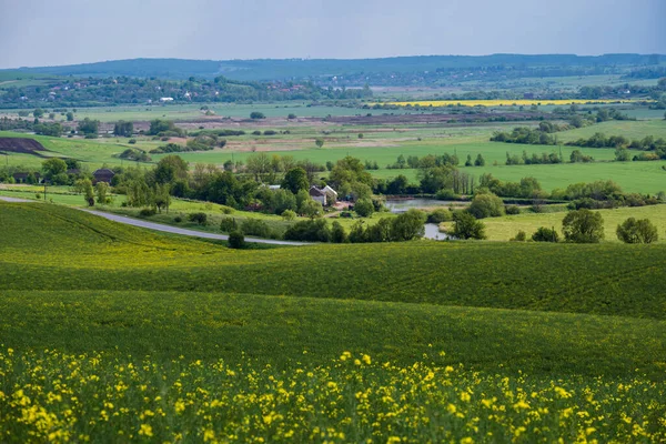 Jarní Krajina Pohled Silnicí Řepkové Žluté Kvetoucí Pole Vesnice Kopce — Stock fotografie