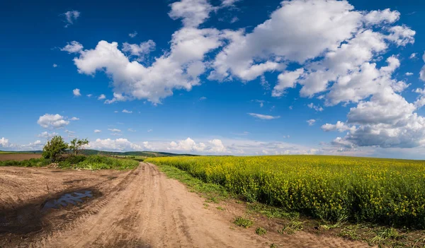 Vista Paisagem Primavera Com Estrada Suja Campos Florescentes Amarelos Colza — Fotografia de Stock