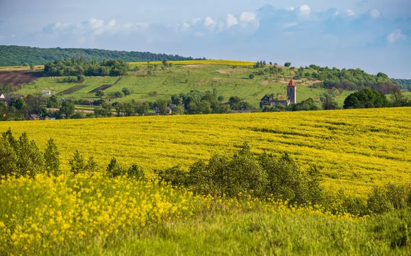 Jarní Krajina Pohled Řepkou Žluté Kvetoucí Pole Háje Kopce Ukrajina — Stock fotografie