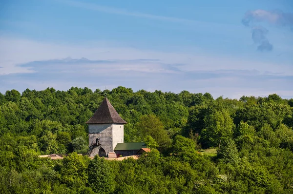 Pyatnychany Tower Försvarsstruktur Århundradet Skogskullen Sluttning Lviv Region Ukraina — Stockfoto