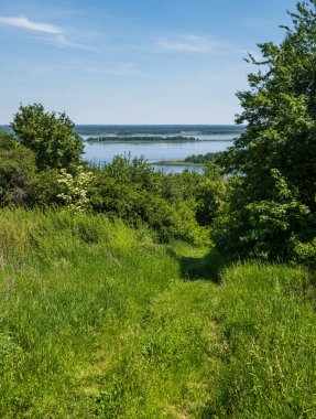 Dnipro nehri çiçek açan kıyıları yaz manzarası, Kaniv su deposu, Kyiv Bölgesi, Ukrayna.