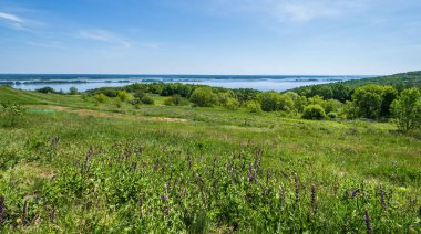 Dnipro nehri çiçek açan kıyıları yaz manzarası, Kaniv su deposu, Kyiv Bölgesi, Ukrayna.