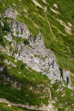 Resimli kaya oluşumlarıyla yaz dağı yamacı. Shpyci Dağı, Karpatlar, Ukrayna.