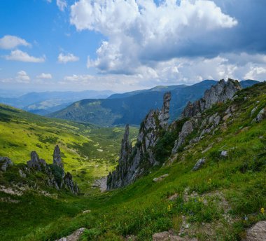 Resimli kaya oluşumlarıyla yaz dağı yamacı. Shpyci Dağı, Karpatlar, Ukrayna.