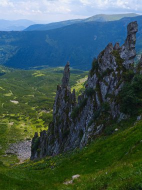 Resimli kaya oluşumlarıyla yaz dağı yamacı. Shpyci Dağı, Karpatlar, Ukrayna.
