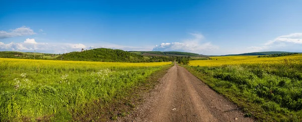 Kirli Yollu Bahar Kırsal Manzarası Kolza Sarısı Çiçekli Tarlalar Köy — Stok fotoğraf