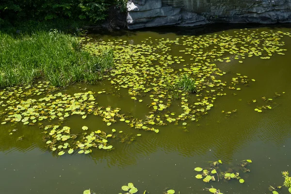 Paisaje Verano Del Cañón Buky Río Hirskyi Tikych Región Cherkasy — Foto de Stock